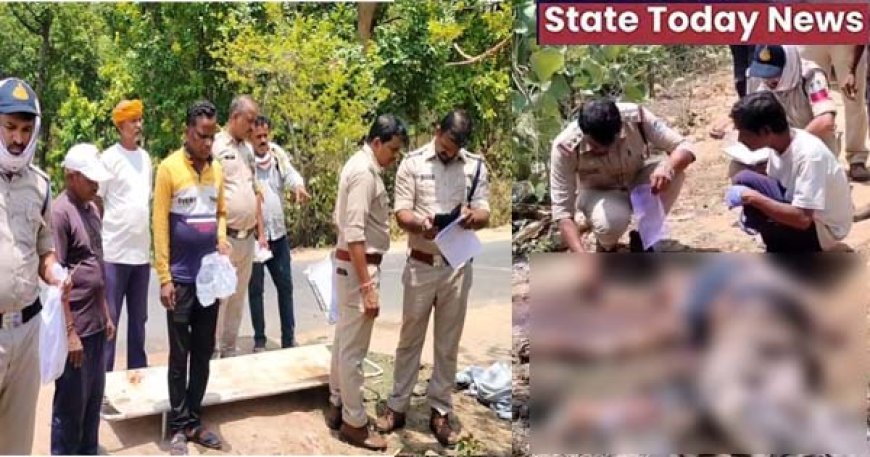 उमरिया: पाली थाना क्षेत्र के मंगठार में पत्थरों से कुचला मिला युवक का शव, इलाके में सनसनी